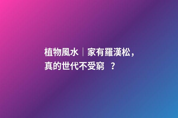 植物風水｜家有羅漢松，真的世代不受窮？